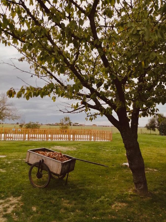 Il Bianconiglio R&B Bed & Breakfast Carraie Dış mekan fotoğraf